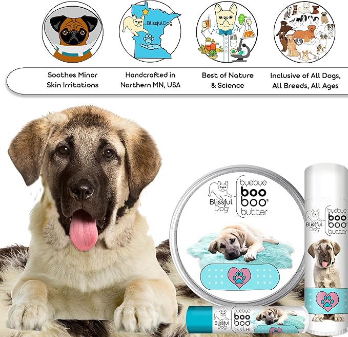 The Blissful Dog Anatolian Shepherd Boo Boo Butter, 16 Ounce