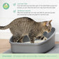 Kitty City PH Crystals Cat Litter 6LB