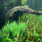 BEGONDIS 2Pcs Aquarium Decorations Fish Tank Artificial Green Water Plants Made of Soft Fabrics Plastic