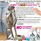 The Blissful Dog Greyhound Boo Boo Butter, 4-Ounce