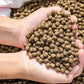 | Premium Floating Fish Food | Pond and Lake | Pellets | 2 Pounds