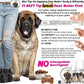 The Blissful Dog Mastiff Nose Butter for Dry, Cracked Skin, Lick-Safe Dog Nose Balm with Moisturizing Shea Butter, Almond, Olive, and Essential Oils, Pet Supplies, Uncented, 4 oz.