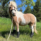 Warrior Fly Boots for Horses - Breathable Mesh Horse Boots for Fly Protection & Leg Comfort - Set of 4 (The Warrior, Neon Orange)