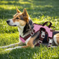 Escape Proof Dog Harness, No Pull Reflective Adjustable Vest with Easy Control Lift Handle, No Choke Soft Padded Breathable Full Body Pet Harness for Walking Hiking and Training (Pink, Small)