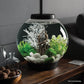 biOrb Classic 15 Acrylic 4-Gallon Aquarium with White LED Lights Modern Compact Tank for Tabletop or Desktop Display, Black-Trimmed Tank