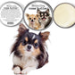 The Blissful Dog Long Coat Chihuahua Nose Butter for Dry, Cracked Skin, Lick-Safe Dog Nose Balm with Moisturizing Shea Butter, Almond, Olive, and Essential Oils, Pet Supplies, Uncented, 4 oz.