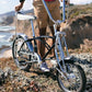 Schwinn Krate Classic Sting-Ray Bike, 20 Inch Bike for Kids or Adults, Steel Frame & Springer Fork, Fenders, Single Speed, Coaster Brake, Grey Ghost, Lemon Peeler, Coal, Grape, Orange or Apple