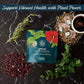 The Tea Spot Organic Lights Out Tea with Valerian Root Relaxation | Blend of Hibiscus, Peppermint, Chamomile, Lavender, Licorice Root & Valerian Root | Caffeine-Free 15 Tea Bags, Pack of 1