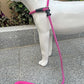 Slip Lead Dog Leash，Strong Nylon Rope Leash and Padded Handle,No Pull Outdoor Walking Training Lead for Small Medium Large Dogs(Fuchsia,1/2"×4ft)