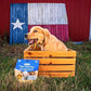 N-Bone Puppy Teething Rings Taste of Texas Queso Con Carne Flavor 3 Count