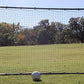 Trigon Sports Soccer Rebounder Net, 6’ x 12’ Bounce Back Net Soccer Goals for Backyard, Easy Setup, Kick Back Trainer for Passing, Ball Control & Volley Practice for Kids, Teens & Adults