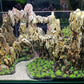 10-12 Inches Natural Dragon Stone 3 PCS Extra Large Aquarium Rocks for Aquascaping, Aquarium Landscaping, Terrariums, Fish Tank Decoration, Vivariums, Paludarium, Amphibian Enclosures