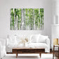 Nature Wall Art Prints - Ocean Forest Mountain Lake Canvas Landscapes - Small to Extra Large Living Room Bedroom Kitchen Bathroom Décor (Green Brich Trees, 31L" x 47W" - 3 Panels)