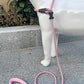 Slip Lead Dog Leash，Strong Nylon Rope Leash and Padded Handle,No Pull Outdoor Walking Training Lead for Small Medium Large Dogs(Pink, 1/2"×6ft)