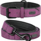 Didog Soft Padded Leather Dog Collar and Leash Set, Heavy Duty Dog Leash and Collar Set with Metal Buckle, Breathable Dog Collars with 4FT Leather Dog Leash for Small Medium Large Dogs, Purple, M