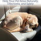 Rx Vitamins Liquid NutriCalm Cat & Small Dog Anxiety Relief - Sleep Aid - Calming Supplement - Dog Bark Control & Stress Relief - Salmon Flavor - 4 oz
