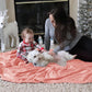 Bedsure Fleece Throw Blanket for Couch Pink - Lightweight Plush Fuzzy Cozy Soft Blankets and Throws for Sofa, 50x60 inches