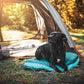 Ultralight Dog Sleeping Bag Backpacking—Outdoor Dog Bed for Hiking—Backpacking Gear for Dogs—Dog Hiking Gear—Dog Camping Gear—Packable Sleeping Bag for Dogs—Dog Travel Bed (Glacial Blue | Large)