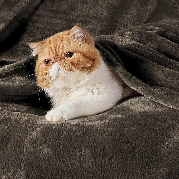 Bedsure Fleece Blanket Twin Size Brown - 300GSM Lightweight Plush Fuzzy Cozy Soft Warm Blanket for Bed, Sofa, Couch, Travel, Camping, 60x80 inches