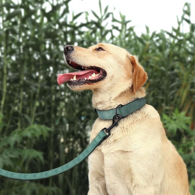 Didog Soft Padded Leather Dog Collar and Leash Set, Adjustable and Breathable Pet Collars with 4FT PU Leather Dog Leash for Small Medium Large Dogs, Green, XL