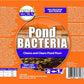 Pondworx Pond Bacteria - Concentrated & Formulated for Water Features - Safe for Koi - 16 Ounces & Treats up to 2,500 gallons of Water