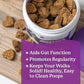 Dr. Harvey's Digestive Probiotic Soft Chews for Dogs, 7 Probiotics for Gut Health, Diarrhea and Bowel Support, Peanut Butter Flavor (90 Chews)