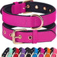 Didog Soft Padded Dog Collars for Small Dogs, Lightweight and Breathable Dog Collar with Metal Buckle, Rose Purple, M