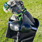 Bushwhacker Portland - Bike Rack Dog, Grocery and Goods Carrier - Bicycle Pannier Crate Cycling Basket Trunk Bag Rear Bed Storage Leash Carry Cargo Pet Commuter Behind Seat Accessories Items Ebike