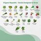 50 Winter Vegetable Garden Seeds Variety Pack - 43,450+ Non-GMO Heirloom Seeds for Outdoors & Indoor Home Gardening, Including Kohlrabi, Lettuce, Radish, Onion, Choy, Spinach, Cauliflower, Collards