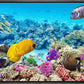 wall26 Framed Canvas Print Wall Art Tropical Underwater Ocean Sea Fish Reef Nature Animals Realism Rustic Scenic Landscape Wilderness Earth Colorful for Living Room, Bedroom, Office - 24"x36" Black