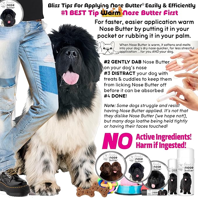The Blissful Dog Newfoundland Unscented Nose Butter - Dog Nose Butter, 2 Ounce