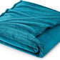 Bedsure Fleece Throw Blanket Teal - 300GSM Blankets for Couch, Sofa, Bed, Soft Lightweight Plush Cozy Throws for Toddlers, 50x60 inches