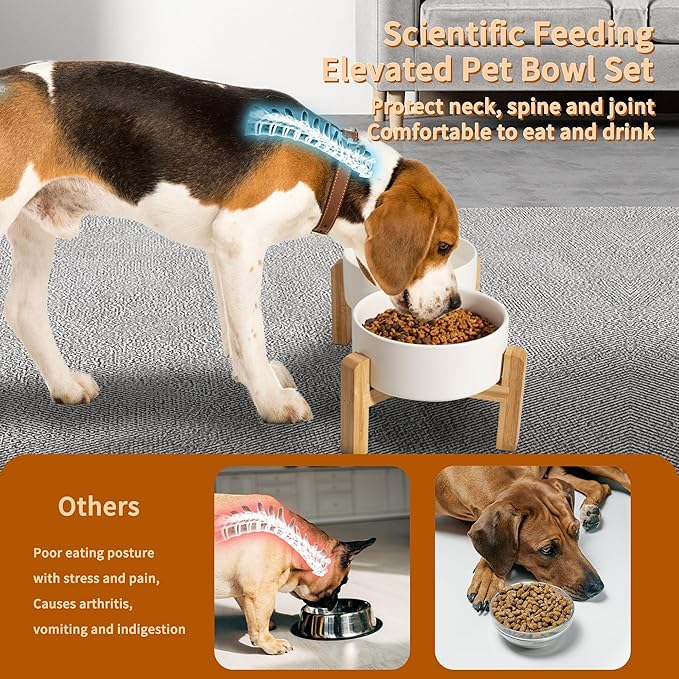 Elevated Ceramic Dog Bowl Set - Raised Dog Bowls with Non-Slip Bamboo Stand - Dog Food and Water Bowl Set - Double Dog Feeding Bowls - Suitable for Small and Medium Dogs - 28.74 OZ - 3.6 CUPS - 850 ML