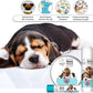 The Blissful Dog 2 oz TIN Beagle Booboo Butter