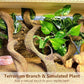BNOSDM 3Pcs Reptile Climbing Branches Decor,Snake Climbing Branch,Gecko Climb Wood,Lizard Forest Branch,Tank Habitat Tree Trunk Decorations for Bearded Dragons,Chameleons,Spider,Frogs (M)