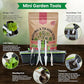 Organo Republic 25 Medicinal & Tea Herb Seeds Variety Pack for Indoor & Outdoors. 10900+ Non-GMO Heirloom Garden Seeds: Anise, Borage, Cilantro, Chamomile, Dandelion, Rosemary, Peppermint Seeds
