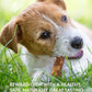 Canine Naturals Peanut Butter Chew - 100% Rawhide Free Dog Treats - Made with Real Peanut Butter - All-Natural and Easily Digestible - 2 Pack of 7 Inch Large Rolls for Dogs 50 lbs and up