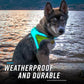 Noxgear LightHound – Revolutionary Illuminated and Reflective Harness for Dogs Including Multicolored LED Fiber Optics (USB Rechargeable, Adjustable, Lightweight, Rainproof) (Small)