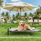 Raised Dog Bed, Outdoor Dog Bed for Dogs, Cooling Elevated Pet Cot, Durable and Sturdy Pet Bed, Waterproof Mesh Cover Raised Metal Frame, Non Slip, Grey