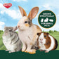 Kaytee All Natural Timothy Hay Plus Mint for Guinea Pigs, Rabbits & Other Small Animals, 24 Ounce (Pack of 2)