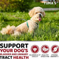 Dog UTI Treatment - 170 Treats - Cranberry Supplement for Dogs - Bladder Control - Urinary Tract Infection Treatment - UTI Medicine Multivitamin - Vitamins and Supplements - Made in USA