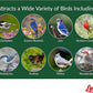 Lyric Peanut Pieces Wild Bird Seed - No Waste Bird Food - Attracts Titmice, Woodpeckers, Chickadees & More - 15 lb bag