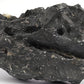 LANDEN Dark SEIRYU Stones Natural Rocks (3~11 inches,11pcs) x2 40Lx 2 Cases Total 80L 37lbs for Aquarium, Paludarium, Terrariums, Landscaping Rocks, Decorative Aquarium Rocks