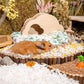 Niteangel Aspen Shaving Hamster Beddings for Syrian Dwarf Hamster Gerbil Mice Degu Rat Rabbit Bunny Guinea Pig Chinchilla Hedgehog or Other Small Pets (65L - White Paper Bedding)