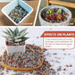 7lb Mix Horticultural Lava Rock Pebbles Pumice Potting Soil Amendment Succulent Cactus Bonsai Gritty Rock Decorative Gravel Plant Drainage Volcanic Rock for Aquarium Fairy Gardening Top Dressing