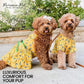 Parisian Pet Cactus Cap Dog Beach Outfit - 100% Cotton Summer Clothes - Stylish Dog Costume - Breathable, Cool & Machine Washable - 2XL