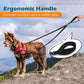 PetBonus Two Point Control Dog Leash, Works with No Pull Harnesses, No Tangle Training Leashes, Soft Padded and Reflective Walking Lead, Converts to Single Lead for Medium Large Dogs (Black)