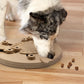 Outward Hound by Nina Ottosson Dog Worker Treat Puzzle Enrichment Toy, Level 3 Advanced, Tan