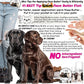 The Blissful Dog Labrador Retriever Unscented Nose Butter - Dog Nose Butter, 16 Ounce