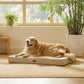 Bedsure XL Dog Beds Large Sized Dog - Extra-Large Orthopedic Flat Puppy Bed with Removable Washable Cover, Egg Crate Foam Pet Mat, Suitable for Pet Up to 100 lbs